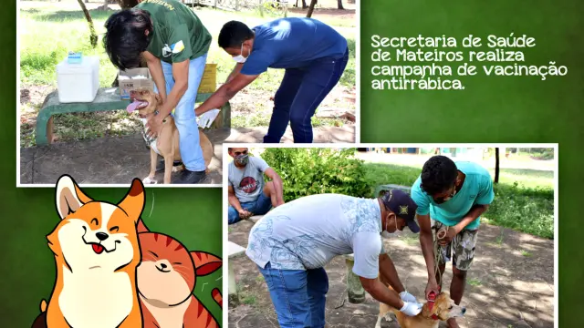 Secretaria de Saúde de Mateiros realiza campanha de vacinação antirrábica.